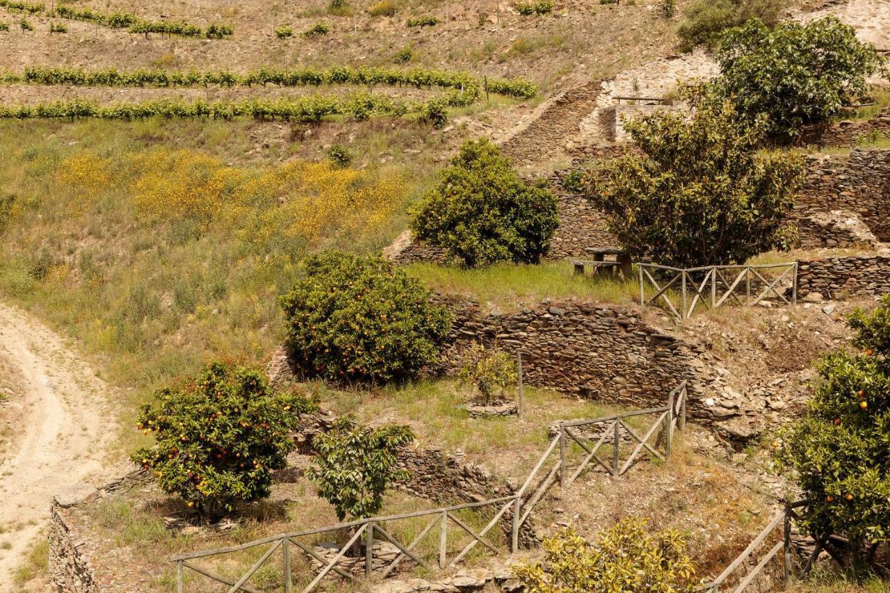Quinta Nova Winery House - Relais & Chateaux Pinhao Ngoại thất bức ảnh